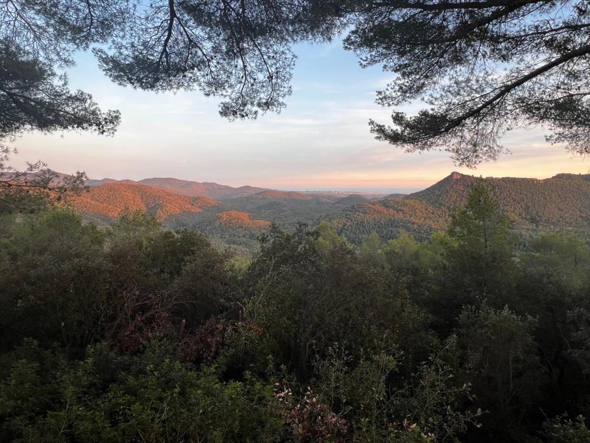 Villa Soanne Bagnols-en-Forêt المظهر الخارجي الصورة